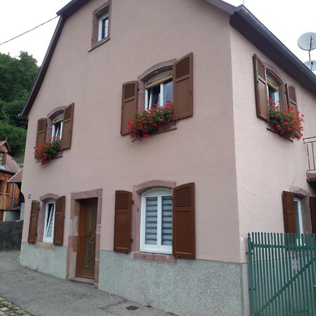 Apartamento Cheznousenalsace Lautenbach Exterior foto